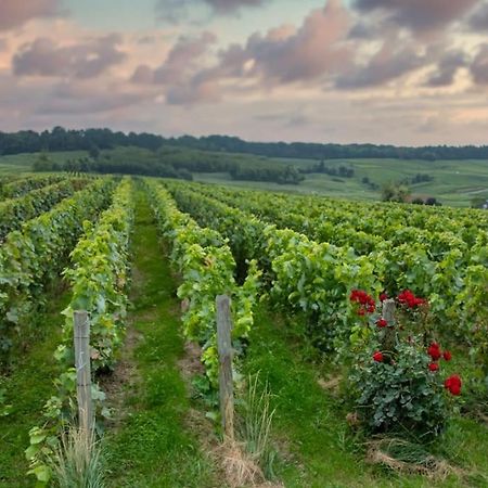 Maison De Champagne F.Barbier ! Avize Eksteriør bilde