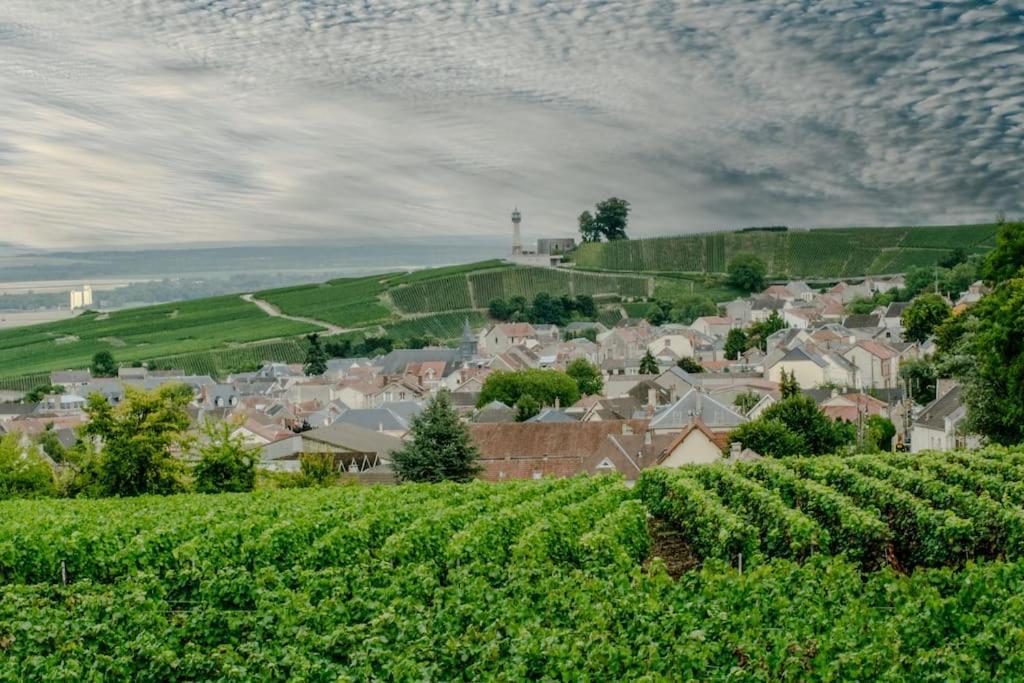 Maison De Champagne F.Barbier ! Avize Eksteriør bilde